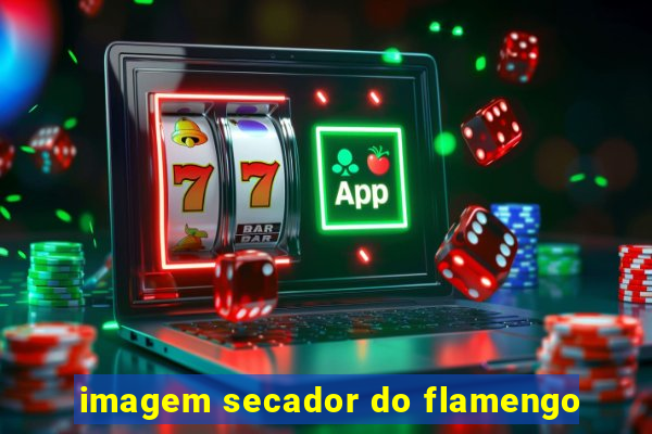 imagem secador do flamengo